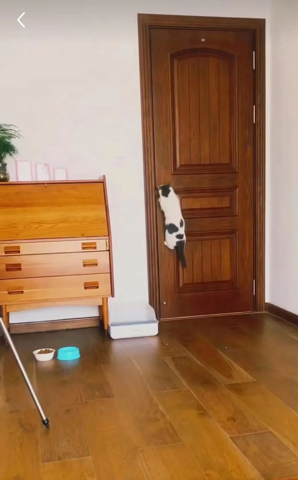 装修后悔事Top6,最后一个太冤了