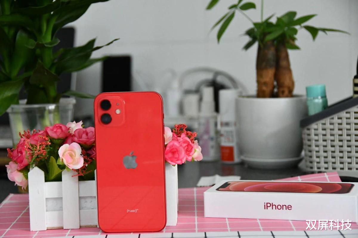 iphone12|iPhone12“一夜间”跌至清仓价,手机榜高居第一,库克终于爆发了