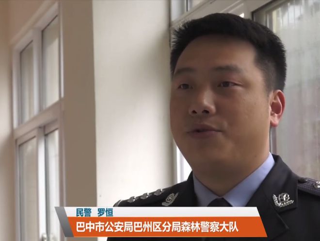 19年四川小贩叫卖猪肉,顾客发现肉质很硬,警方上门搜出保护动物