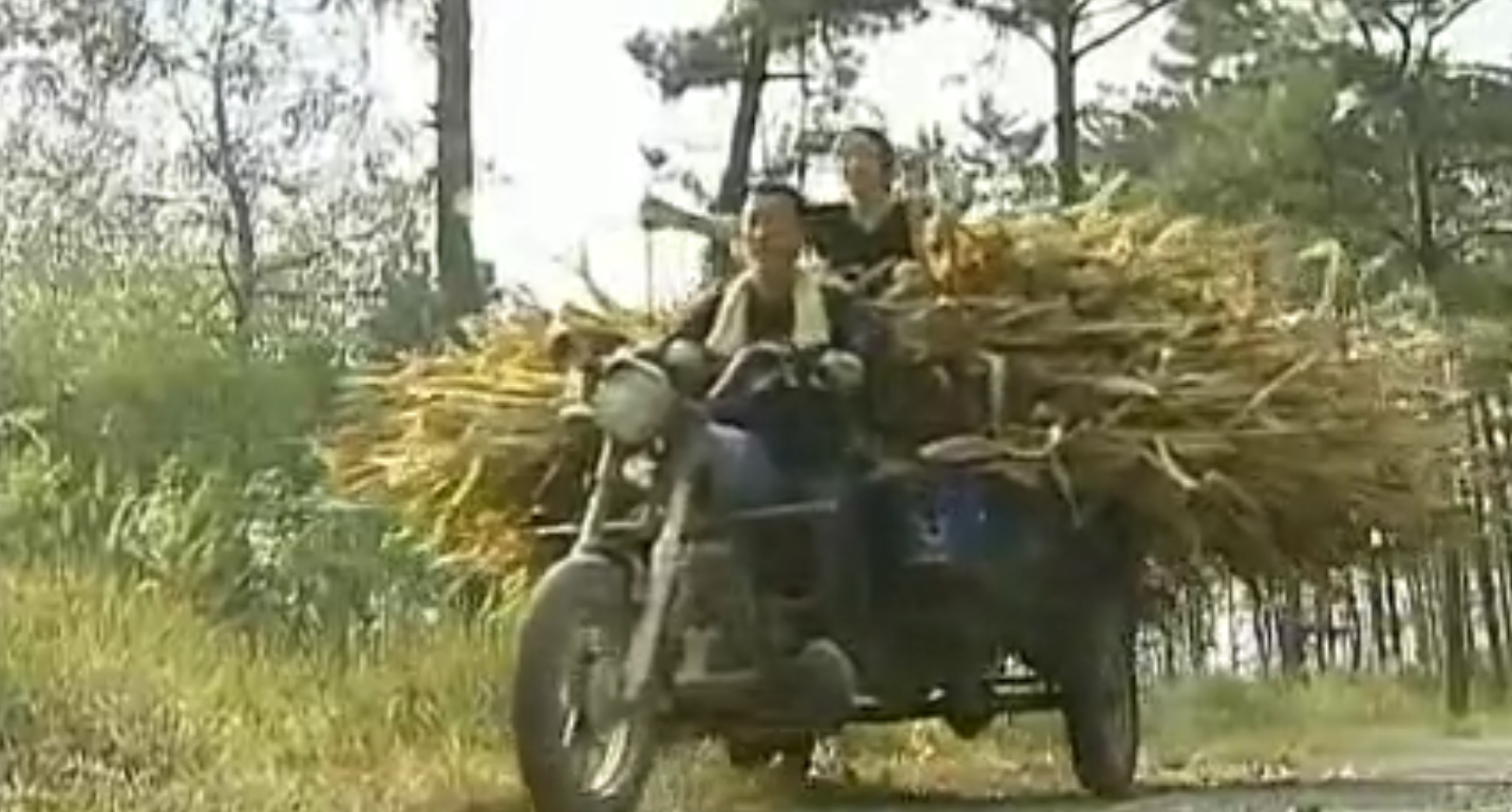 儿子身患绝症,南京下岗女工,养鹿救子,坚持14年,年入200多万