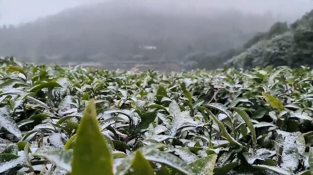 乡村旅游|远赴人间惊鸿宴，云台山风景区上见初雪