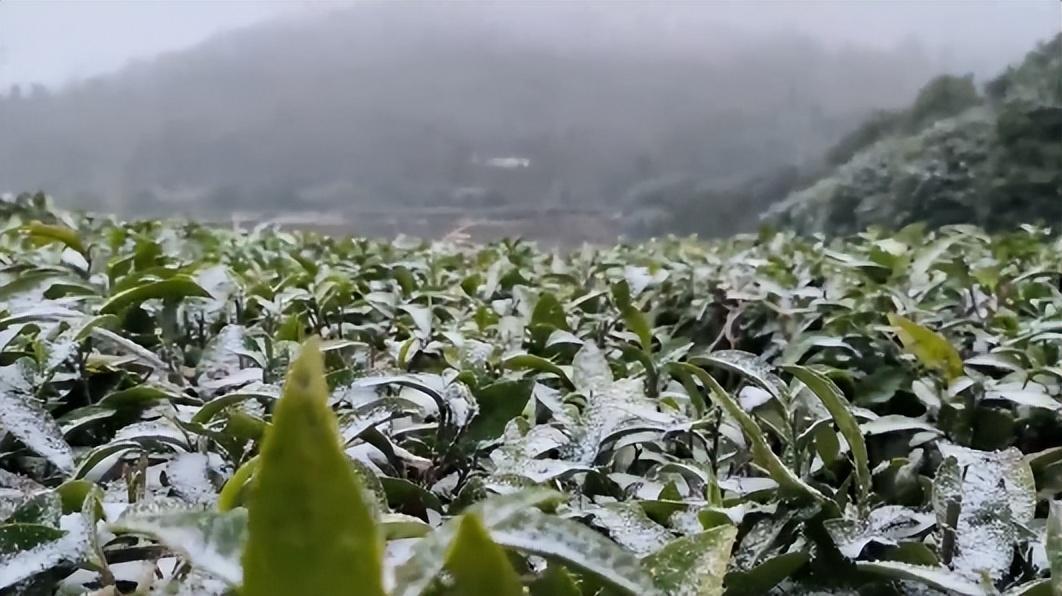 云台山|远赴人间惊鸿宴，云台山风景区上见初雪