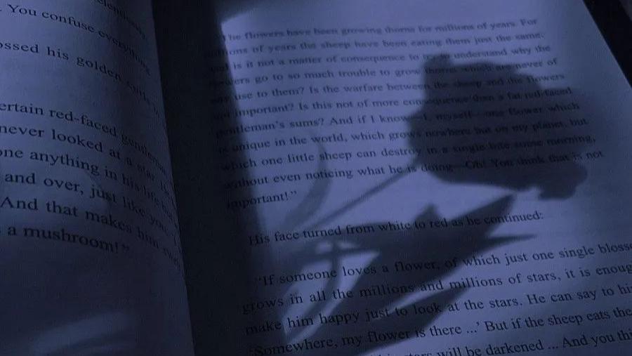 “收藏很久的温柔干净文案”