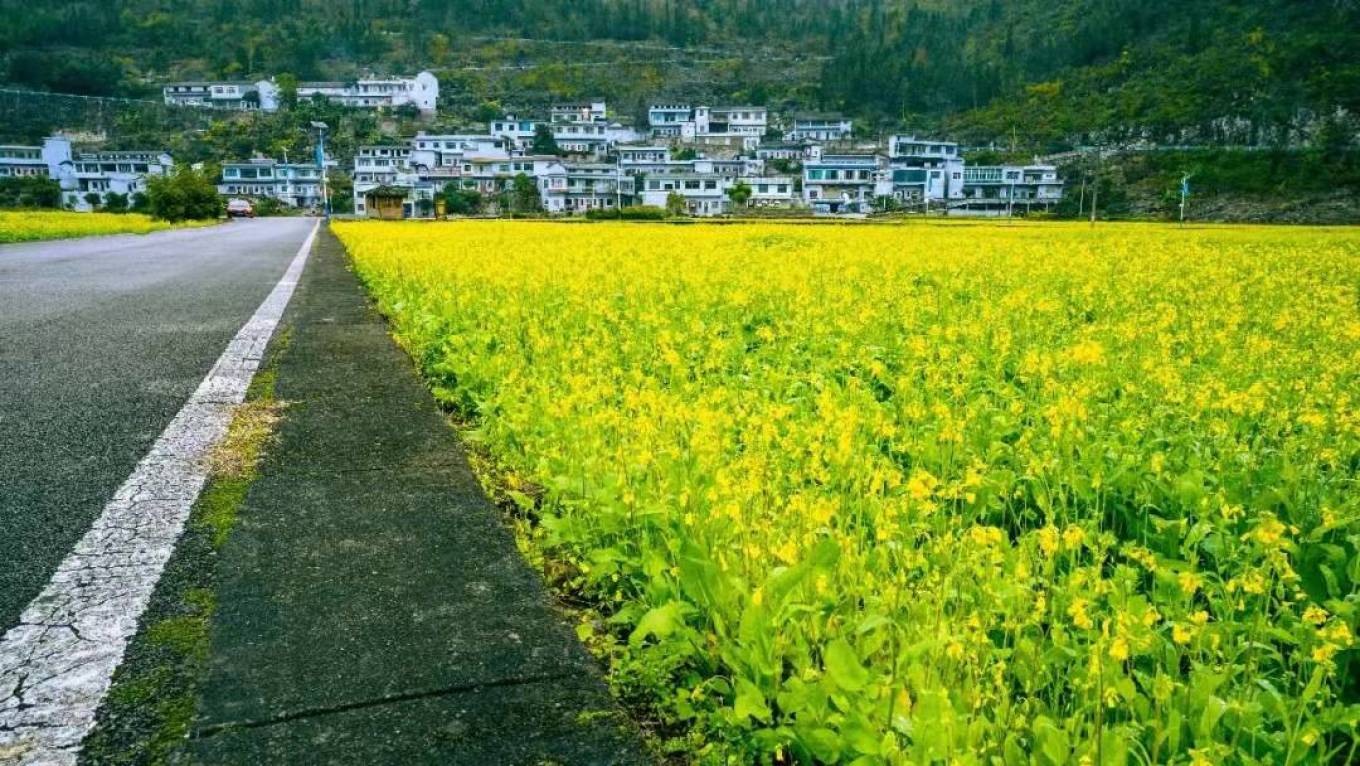 云南|我向往的乡村生活，门前有一片油菜花，每天“躺平”过日子