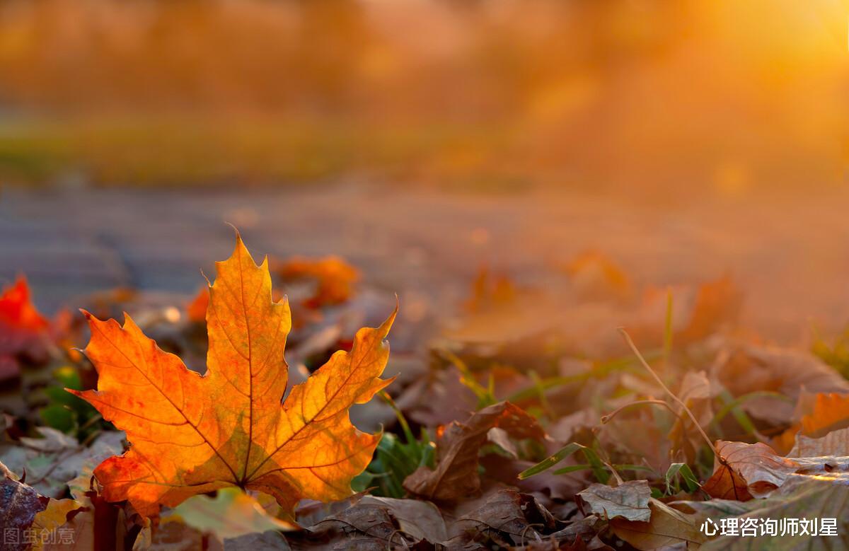 失眠|心理学家:学会这2点,再也不失眠!