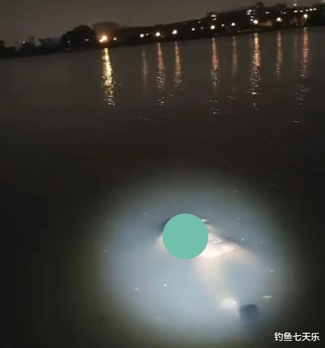 |广州男子珠江夜钓,意外钓到一具“浮尸”,淡定直播引发热议