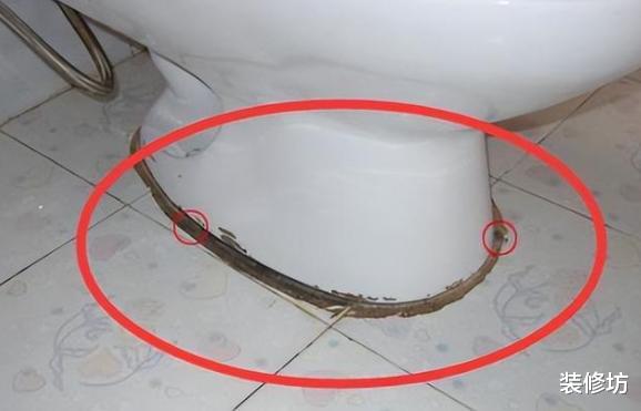 家中墙面霉菌“疯狂”生长?偷偷教你2招,霉斑再多也不怕!