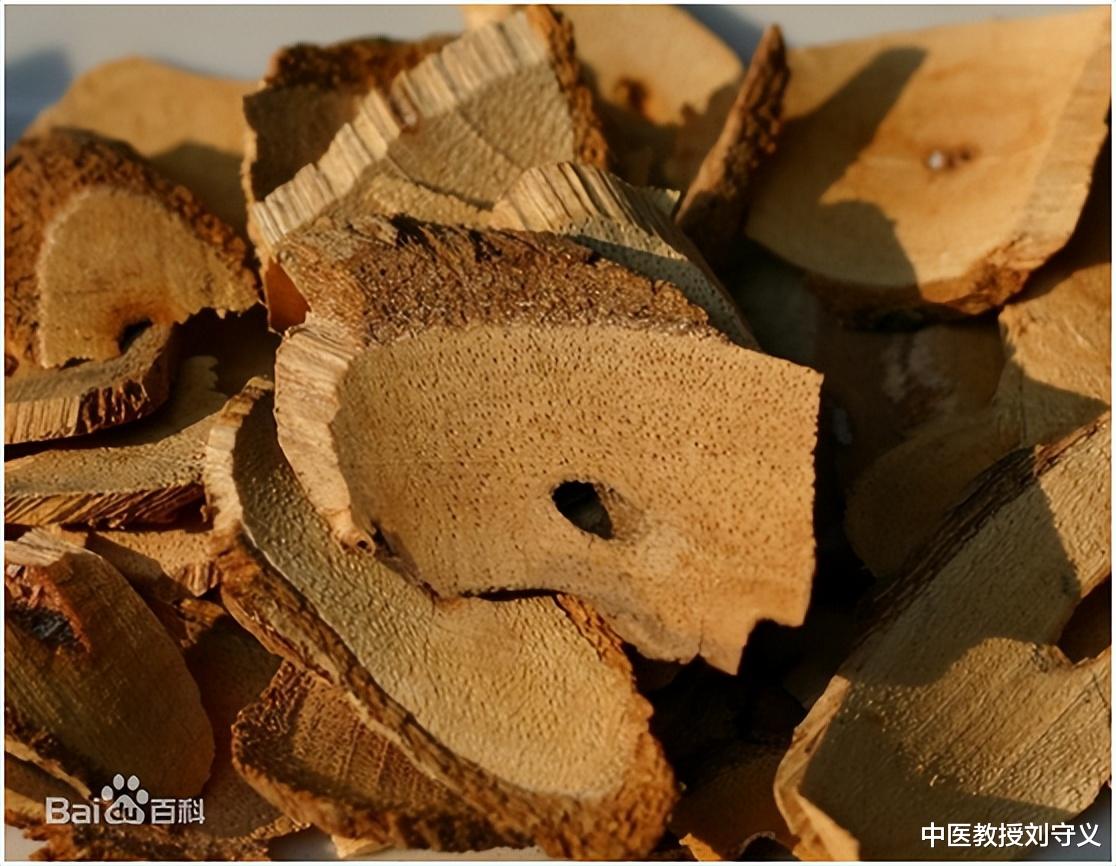 抗癌|分享抗癌良药——藤梨根，功效清热利湿、祛风除痹、解毒消肿止血