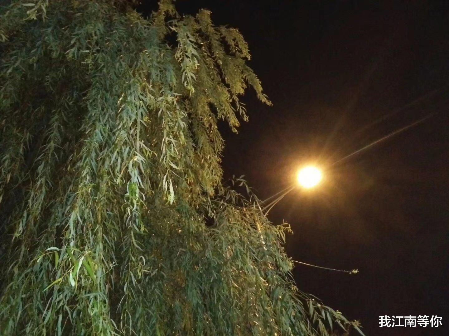 我正在午睡,女邻居悄悄潜入我的家里,然后侵犯了我