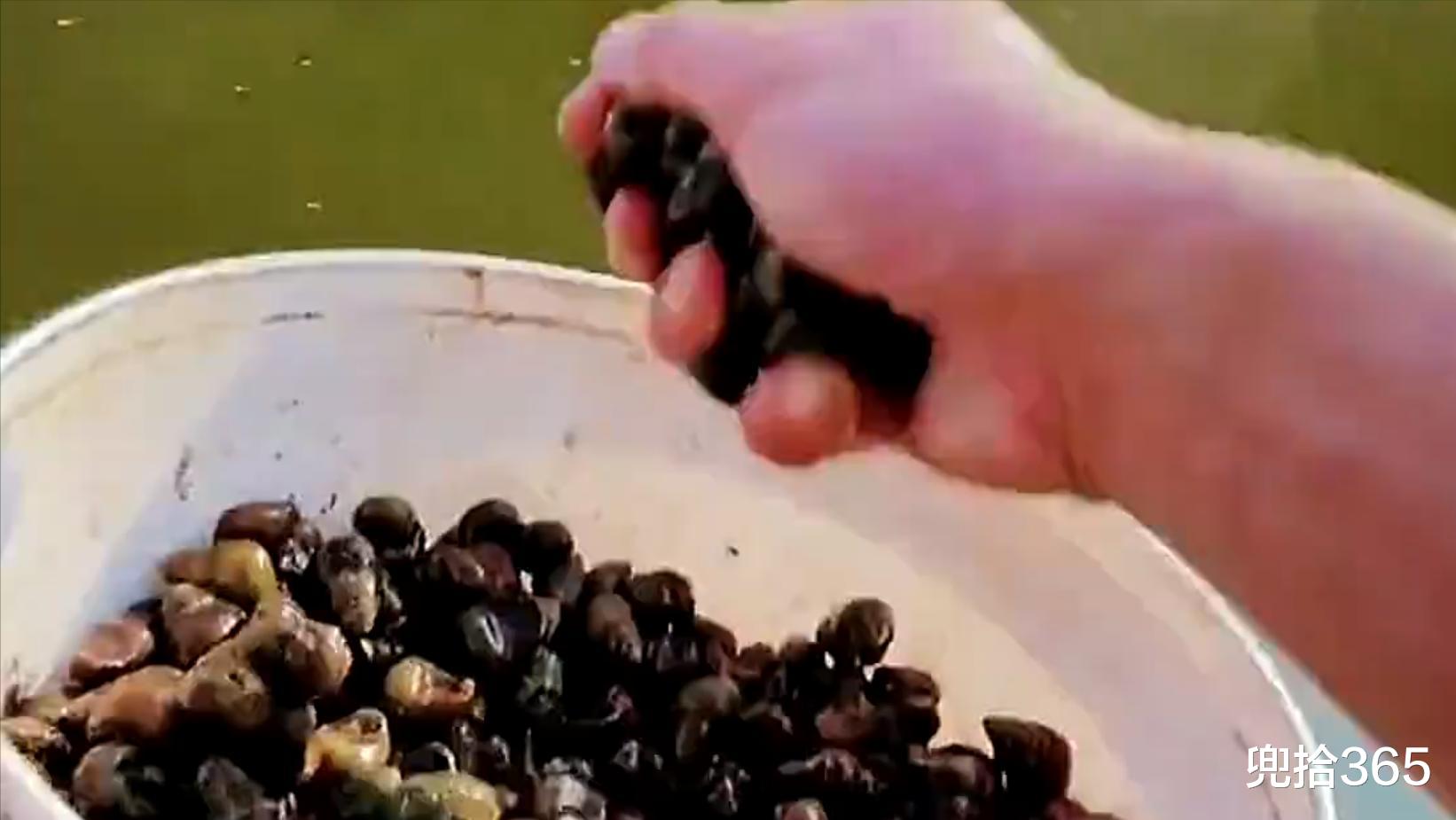 |湖南男子水库里野钓，罕见收获百斤重的“米级”大货，网友：放生