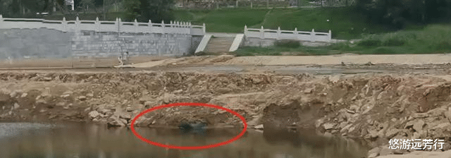 手榴弹|继钓友钓到手榴弹后，又有人摸出古墓！网友：堪比“摸金校尉”