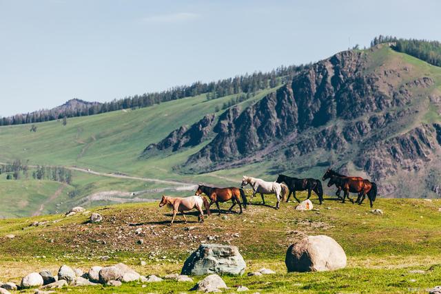 新疆维吾尔自治区|新疆自驾游如何兼顾全境风景？15天游遍新疆名胜景区路线攻略