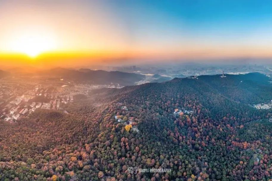 腾冲|再不“枫”狂就下架了！你和这个秋天还差一片红色的距离