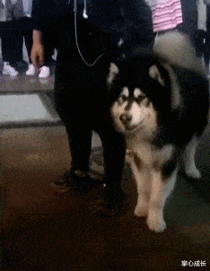 发型 事实证明，多帅的发型都弥补不了颜值的差距！太扎心....