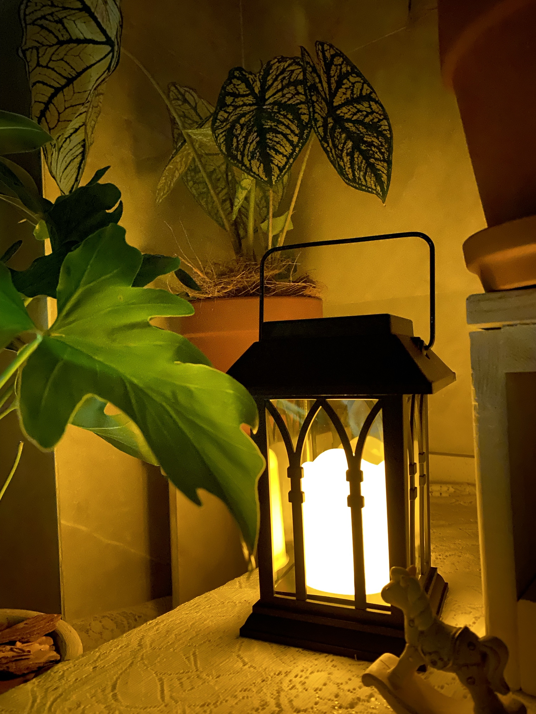 50㎡露台花园布置，分享露台改造避坑指南，希望能给你们一些灵感