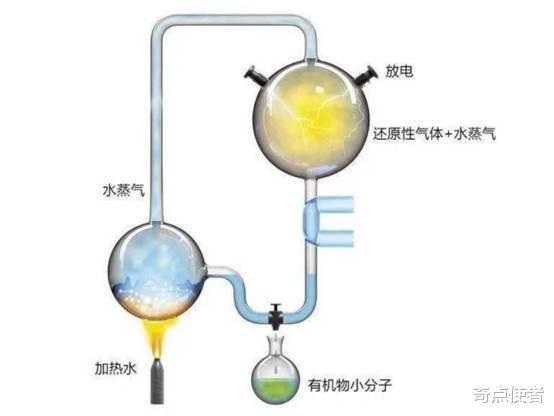 白兴奋了!研究者:日本“隼鸟号”发现氨基酸,或与地外生命无关