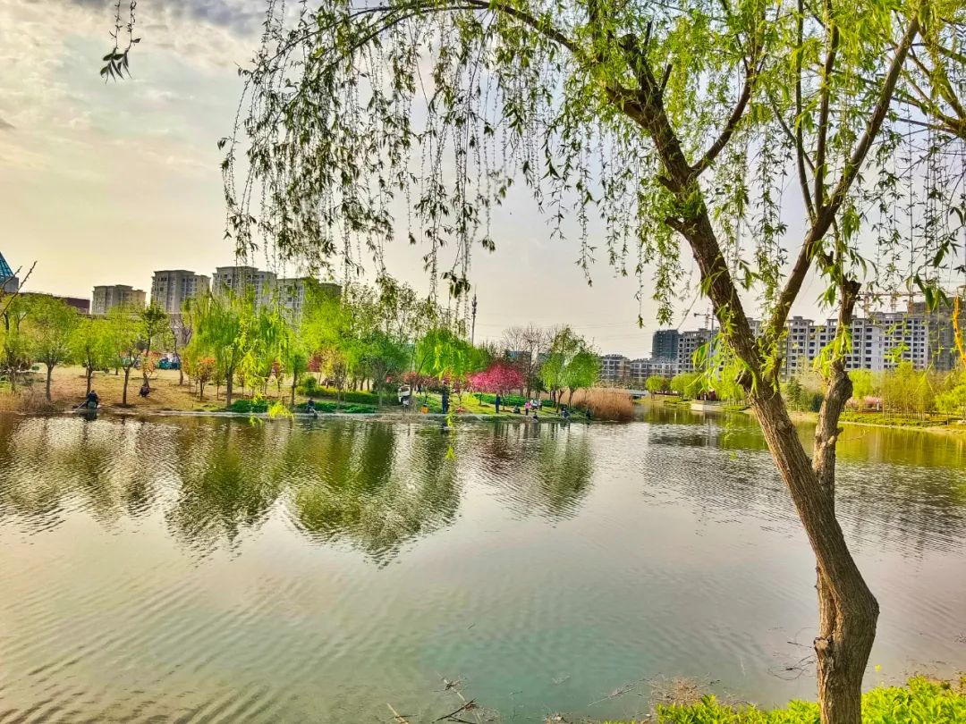 泗县|五一假期休闲，风景家乡独好——运河文化美丽泗县（乡村振兴）