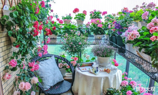 小阳台也能玩出大花样，一眼就让你沉沦！
