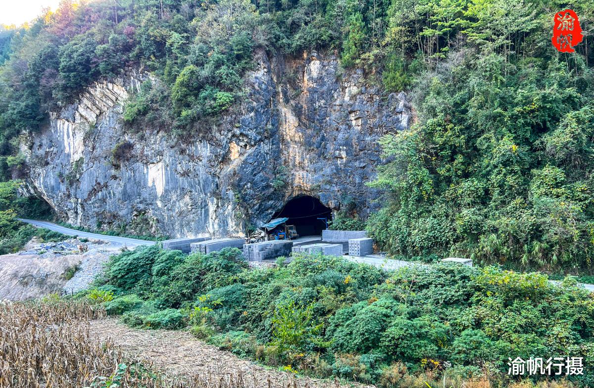 重庆深山发现一山洞,一男子在洞中创业,竟轻松年入70万
