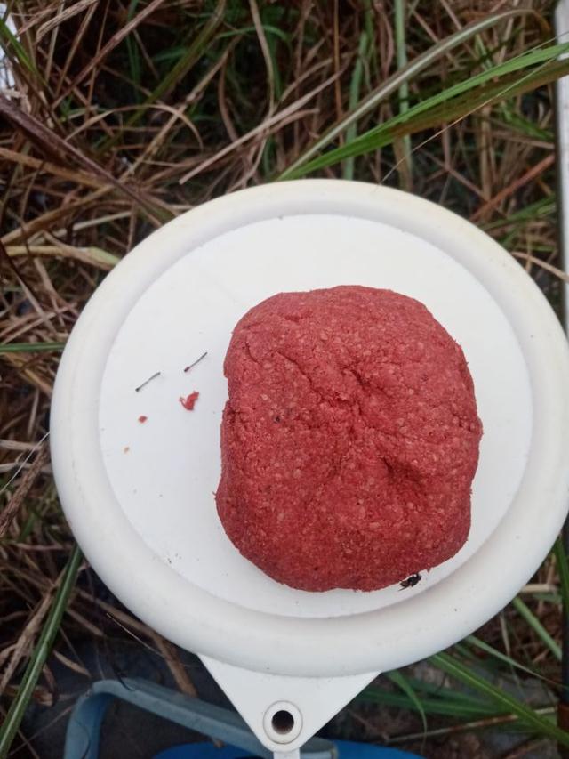 |【作钓报告】2022钓鱼之路已走完,2023开拓新的天地解锁新鱼种