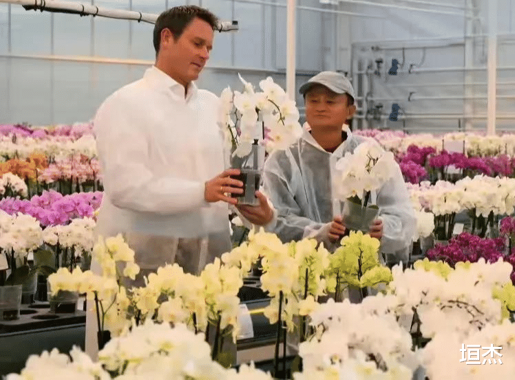 台积电|马云移居日本东京！餐馆老板晒出马云的外卖记录，实锤了