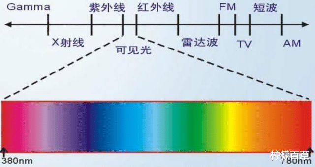 晒被子后有“太阳味”,是因为螨虫被烤焦了?科学家:太阳的功劳