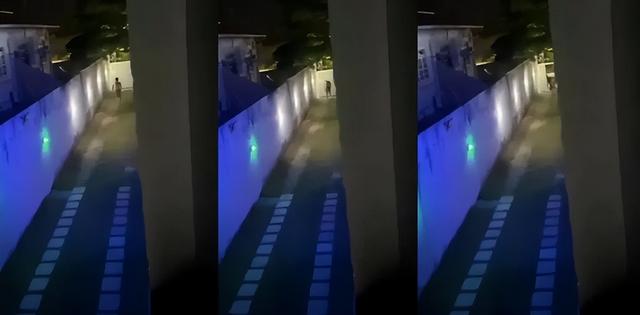 巴西男子夜闯豪宅想侵犯女住户,用头撞碎玻璃门后失血过多死了!