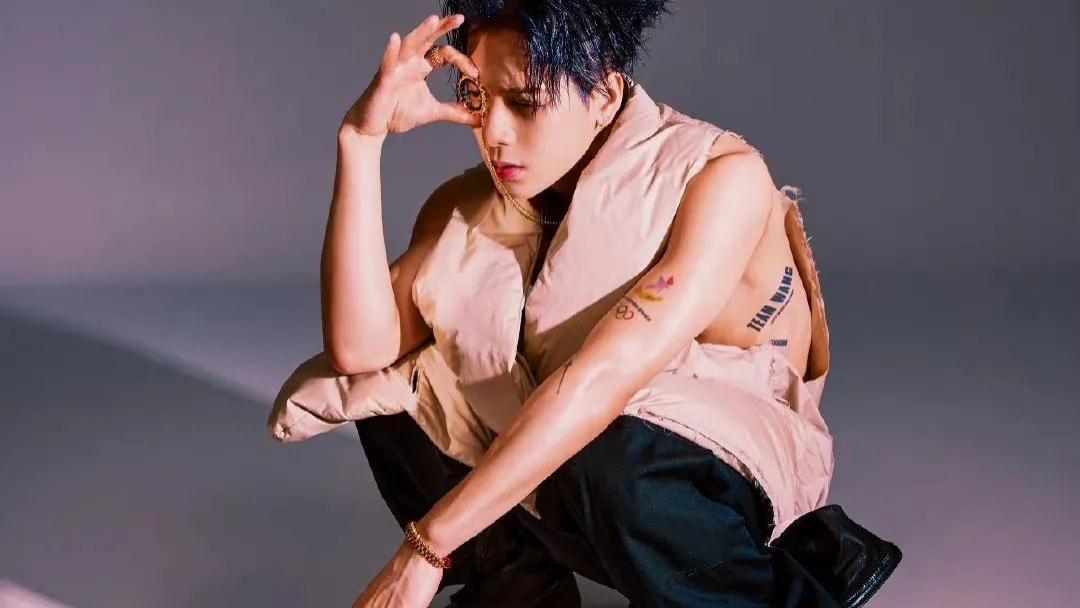 王嘉尔|王嘉尔国外演唱会怒怼外媒，口碑反转了？