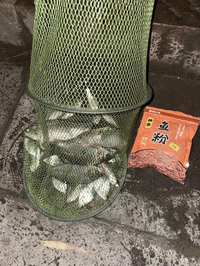 鲫鱼|【钓鱼之家虾粉】诱鱼和留鱼效果的效果果然不是吹的