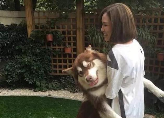 王一博|美女保姆作陪，熬走了王思聪多任女友，这个女人何德何能？