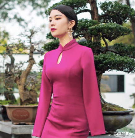 苗圃|《非诚勿扰》一手“捧”出来的网红们，后来都怎样了？