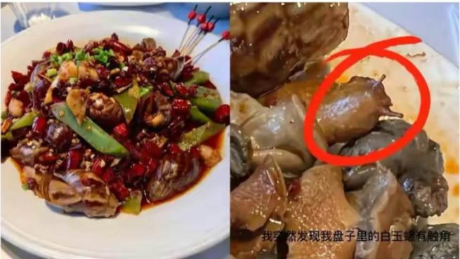 近日，北京，女子去龙虾店点了一份88元的麻辣白玉螺，结果越吃越感觉不对劲
