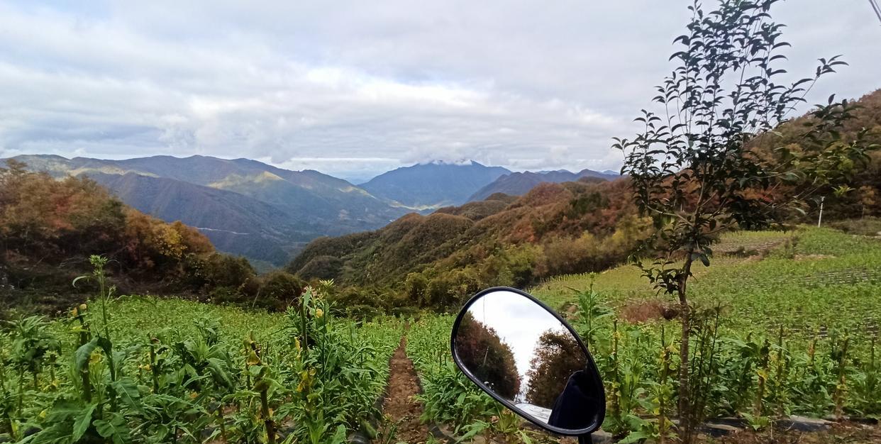 贵州旅游|西乡县的湾对坡,一个新兴网红打卡地,满山秋色惹人爱,游客醉了