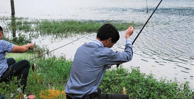 饵料|气压低鱼不上钩？冬季钓鱼停口怎么办？3方面调整，外加3个方案