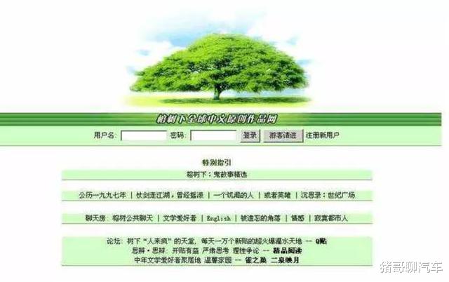 MySQL|这个比QQ空间还古老的网站,是多少女孩的精神家园?