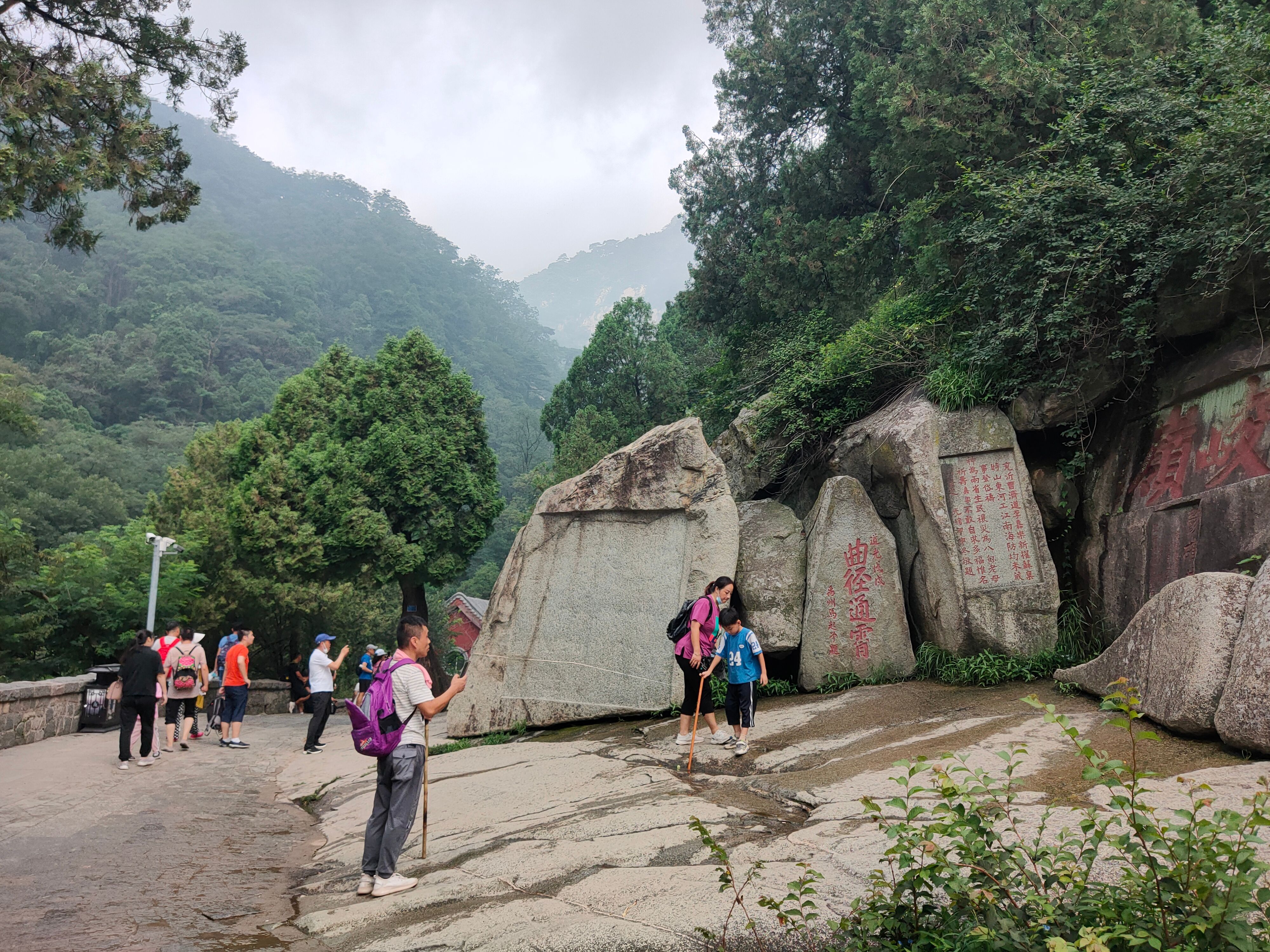 森林公园|8.1-8.9赣湘鲁万字百图非严肃旅行攻略——随便走走、看看、吃吃