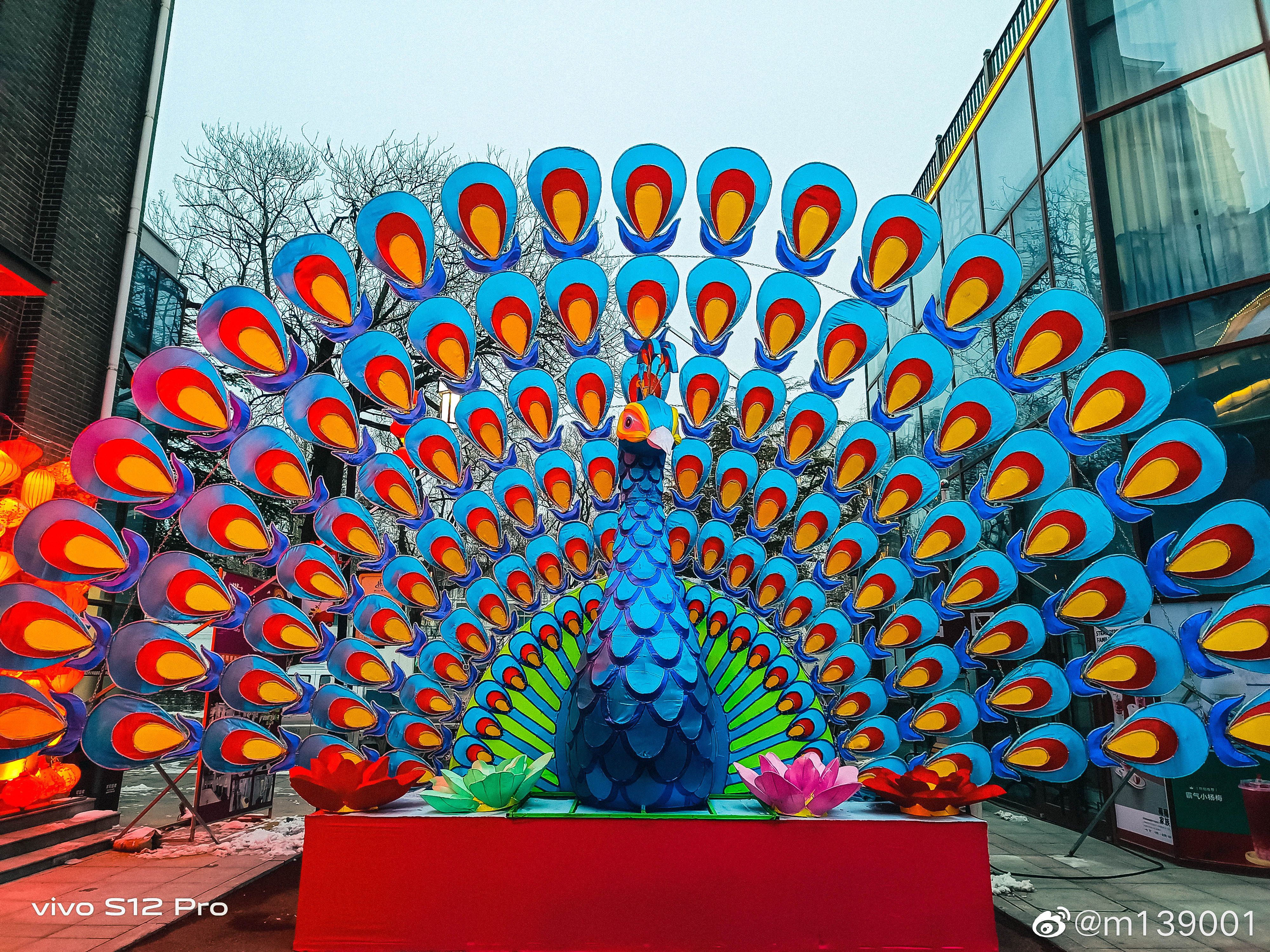 摄影|该如何选择自拍手机？vivo有款新机可以当作标准线