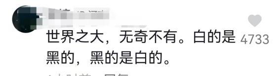 台南:妻子车内出轨上司,丈夫偷录证据被判刑2年,妻子索赔60万