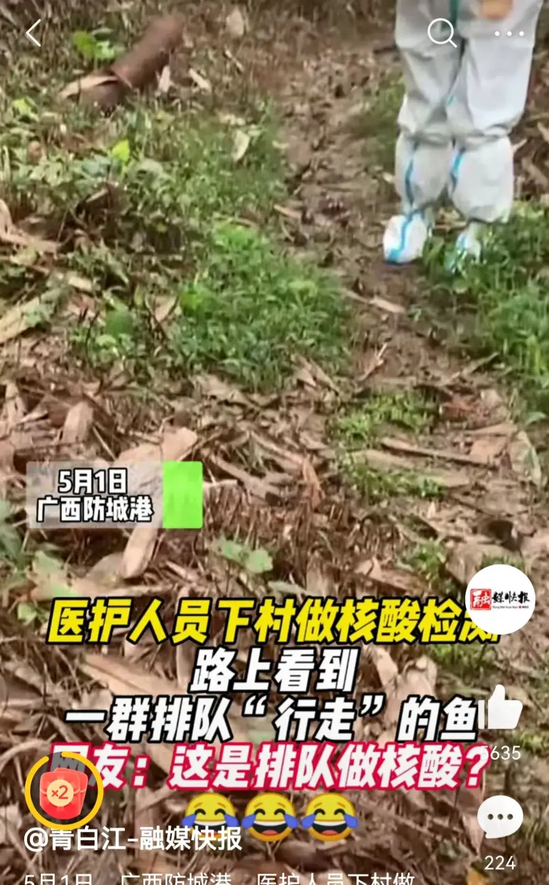 牧风芳华 大白去做核酸 在山路上遇到一群鱼，不仅能翻山越岭，还会爬树