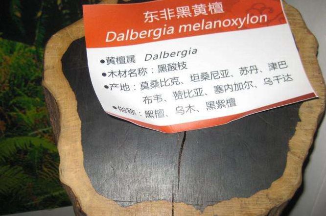 红木|红木市场最热门的8个品种,你知道几个?