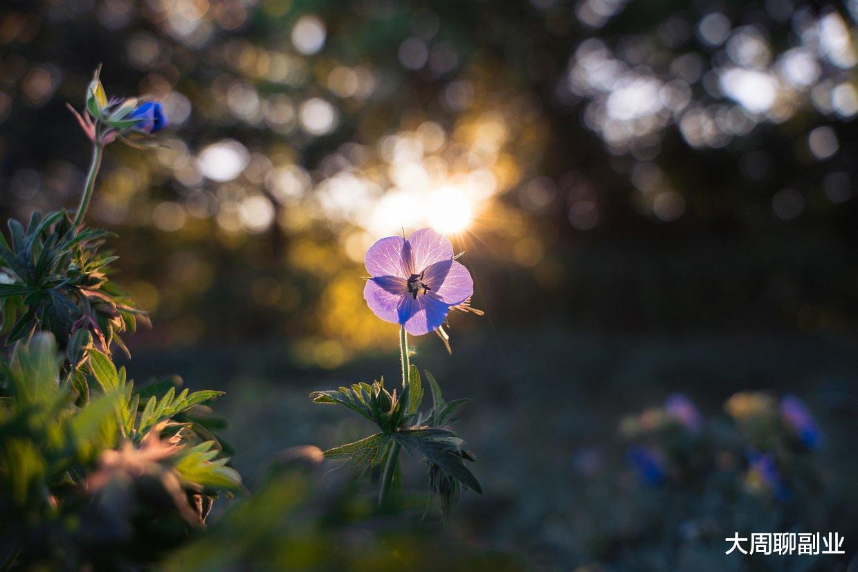 自媒体|怎样优雅劝退他人做自媒体?