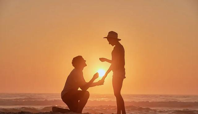 白发|38个冷知识:虽然没有用,但是可以增长见识,原来考拉这么爱睡觉