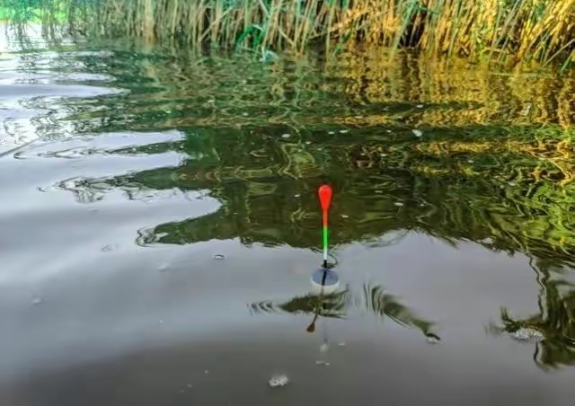 饵料|钓鱼时总发现鱼窝冒泡，可就是不咬钩，这是怎么回事？