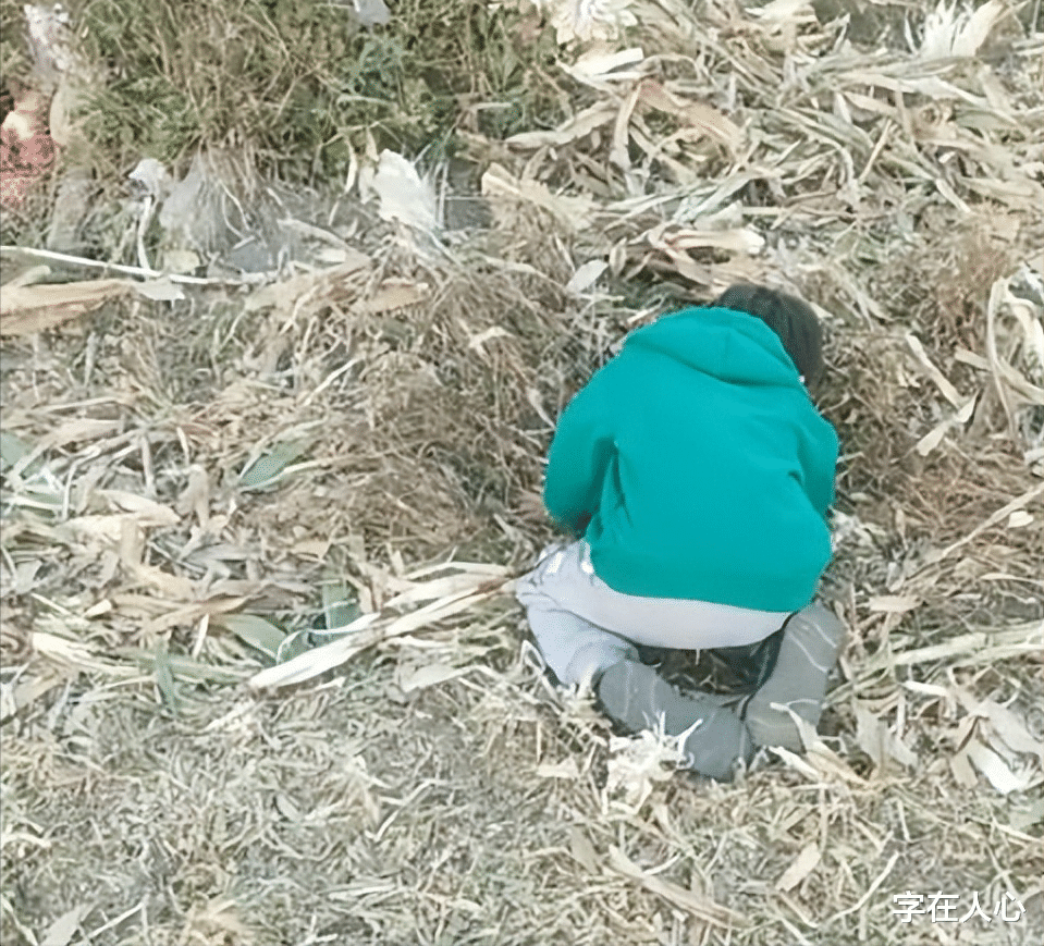5岁孙子每月都去奶奶坟前跪拜,和奶奶诉说自己的生活,父母感动