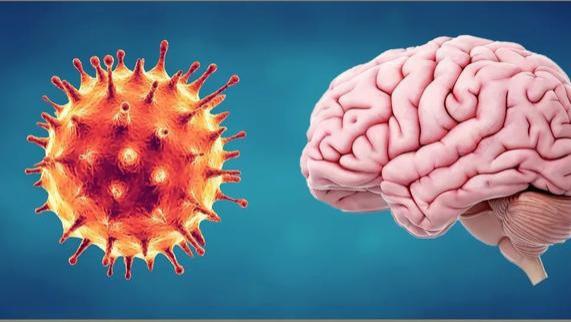 nature论文：尸检证明几乎身体所有部位都存在 COVID-19 病毒，存在时长达八个月