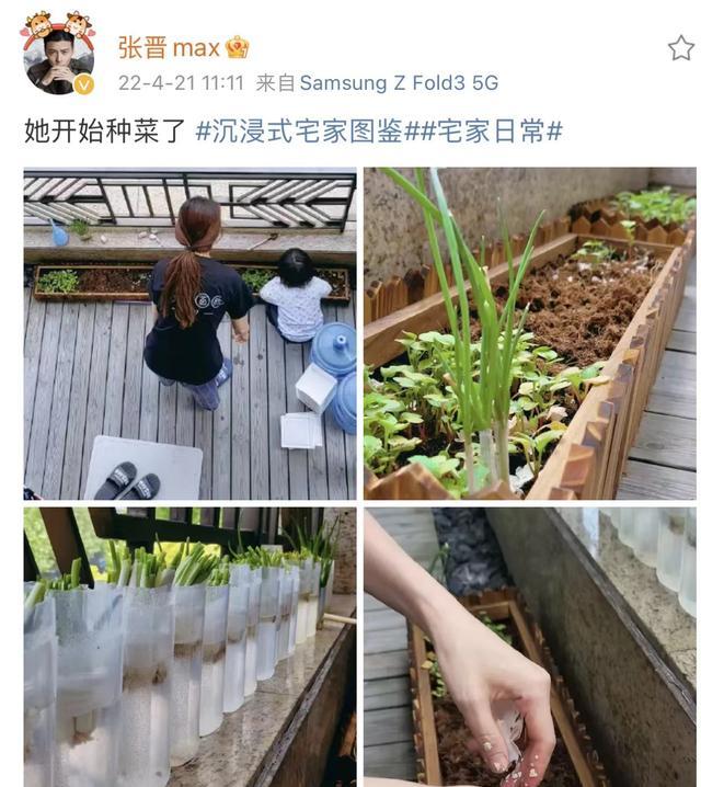 蔡少芬|49岁蔡少芬手握近2亿房产！张晋把收入全给老婆，房产没份也乐意