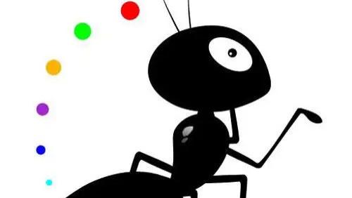 人类身上的某些问题也许能从蚂蚁身上找到灵感