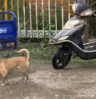 最终幻想起源|“华为1996年的招聘广告，大家自己感受一下！”都是人才啊