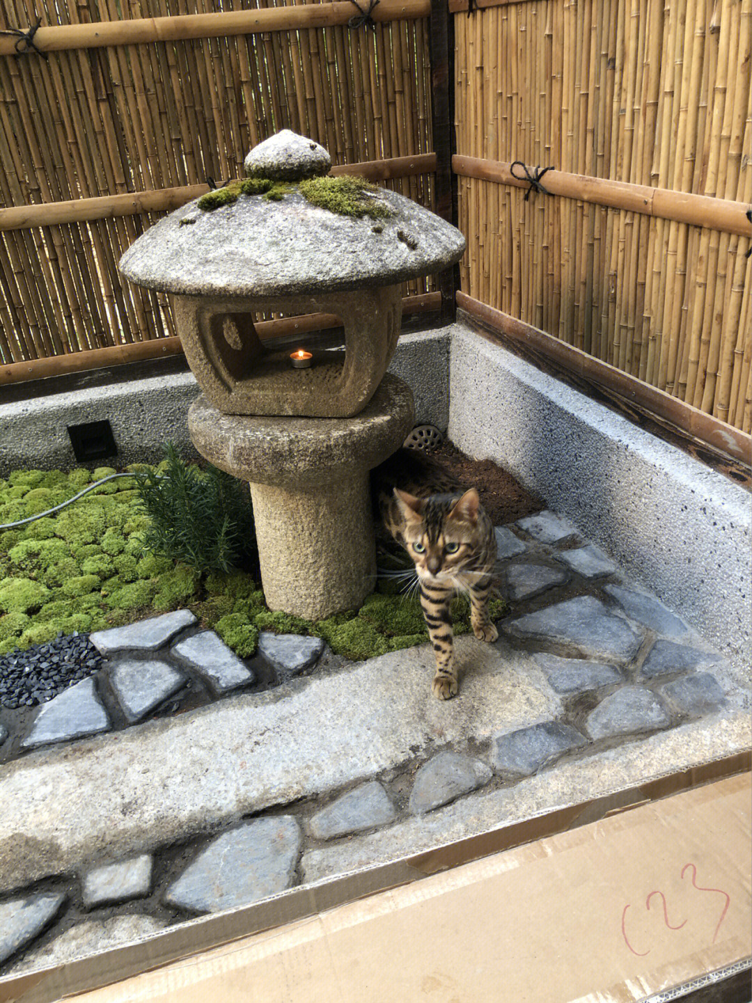 20㎡小院,打造日式花园经验分享,把日式庭院搬回家是怎样的体验