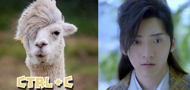 展昭|妲己变肥了,赵灵儿不灵了,宁采臣多瞅一眼都想哭,看翻拍得洗眼